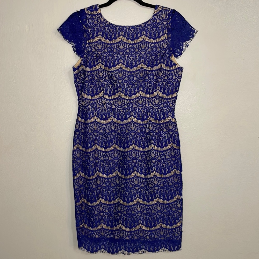 Darling brand low back blue lace dress